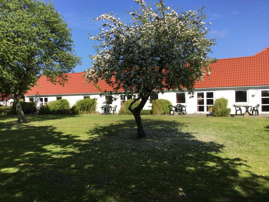 Gammelgaard Feriecenter Laeso Zewnętrze zdjęcie